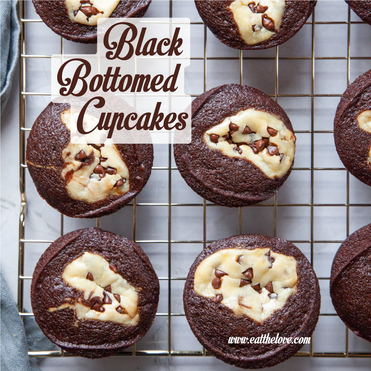 black-bottomed-cupcakes